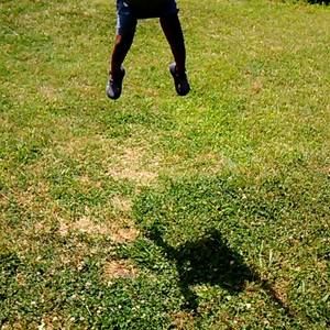 Meet your Posher, Roderick